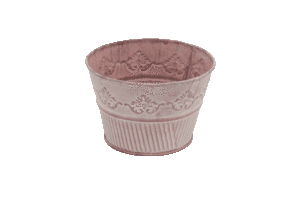 Freude am Garten Abogeschenk Blumentopf