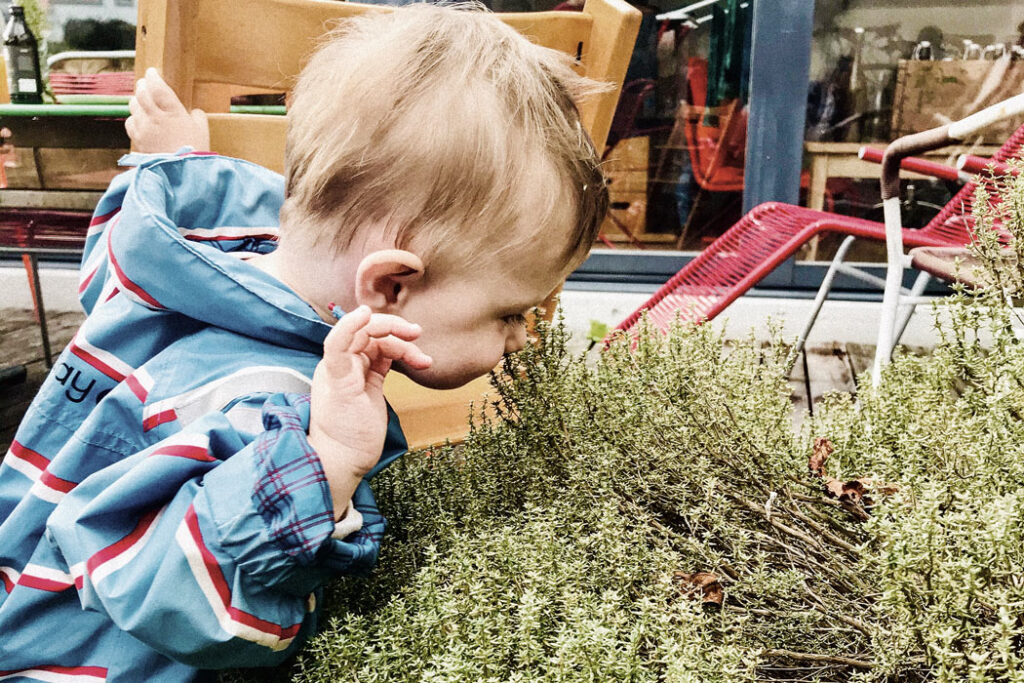 Freude am Garten Beitrag Ätherische Öle für Kinder
