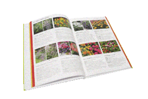 Freude am Garten Abogeschenk Topfgartenbuch